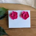 Lolita fucsia