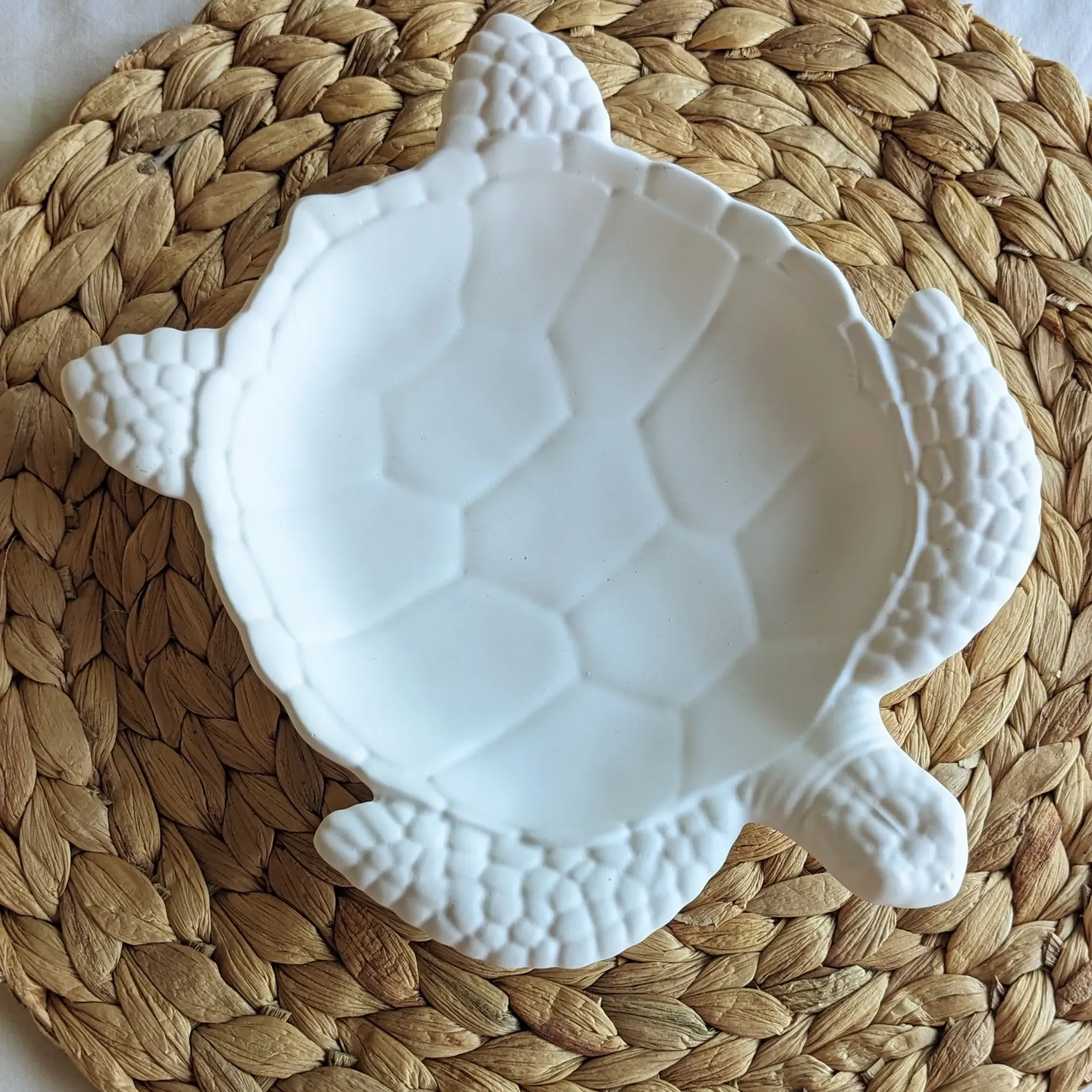 Bandeja tortuga